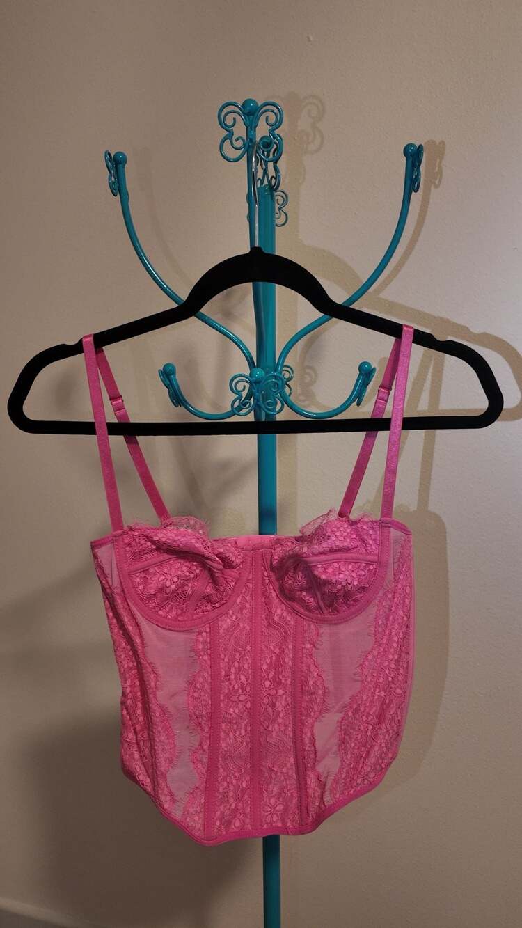 SHEIN Pink Floral Lace Sheer Corset Camisole Top – Size S / US 4